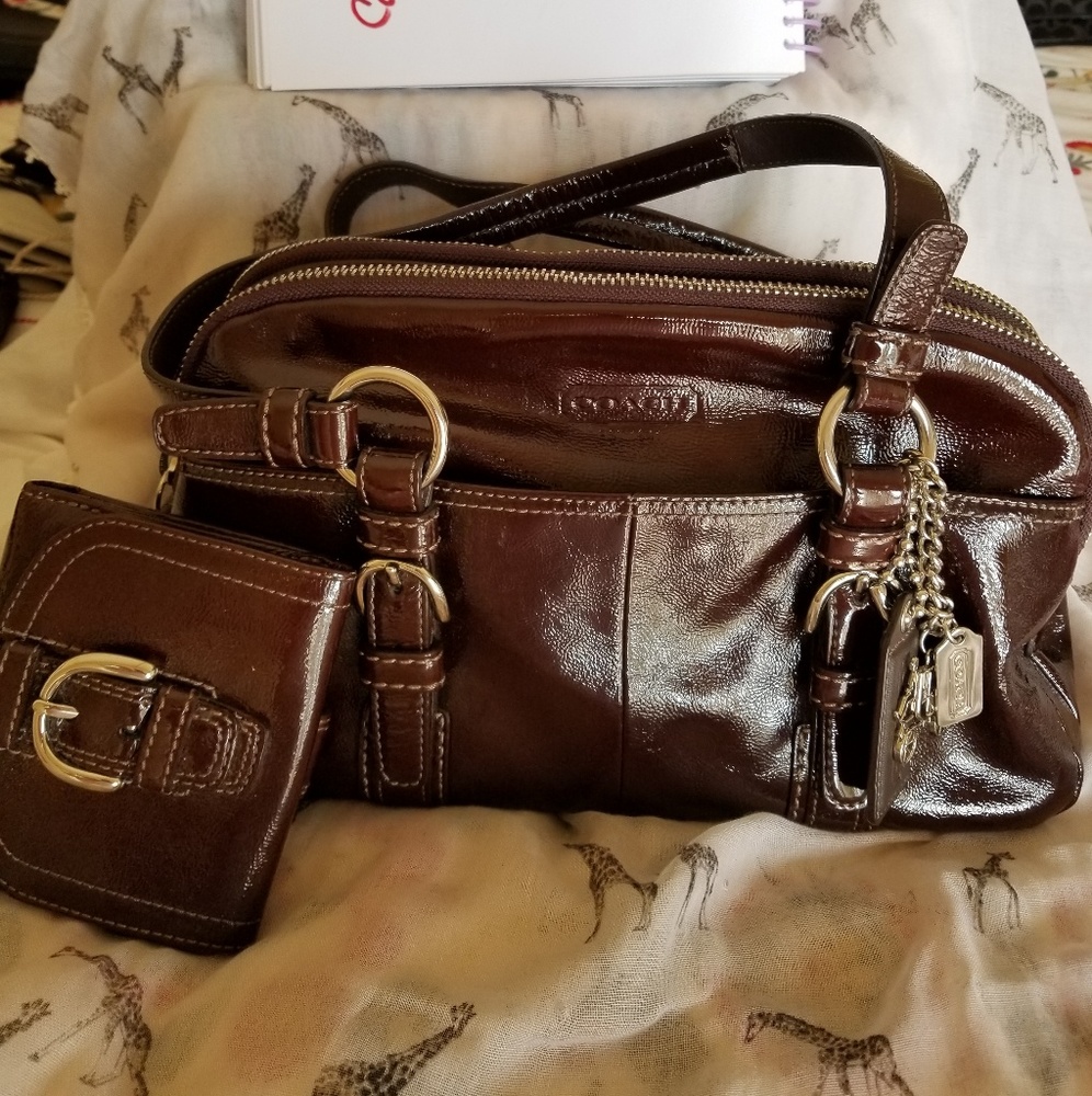 💥SOLD💥Purse with wallet